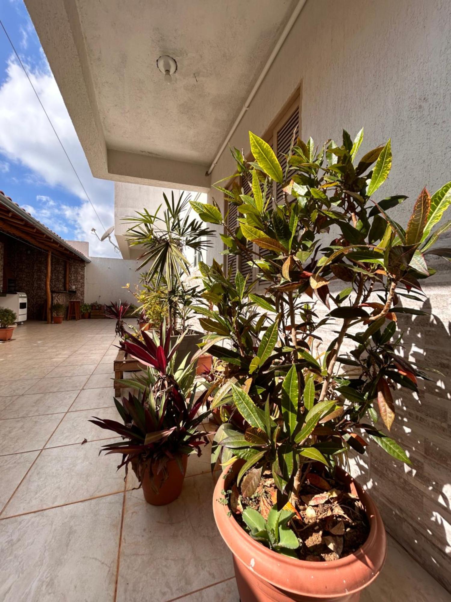 Thiferer Hostel Vicosa  Bagian luar foto
